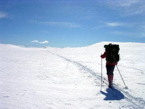 Illustrasjon som visar skigåar på fjelltur.