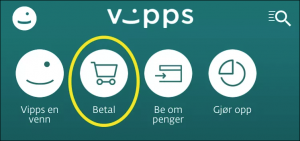 Illustrasjon synar VIPPS-knappen for Betal.